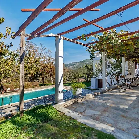 Villa Aletri Pool *